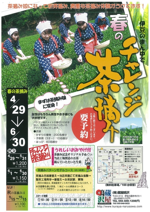 チャレンジ茶摘体験