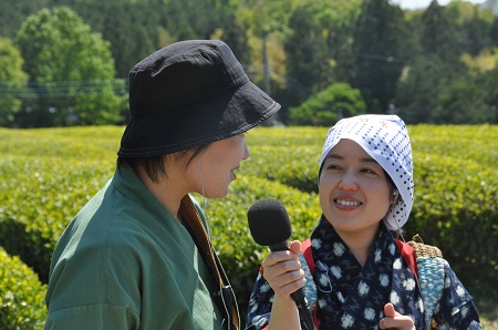 体験茶摘み中継