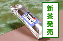 くき茶「さやか」